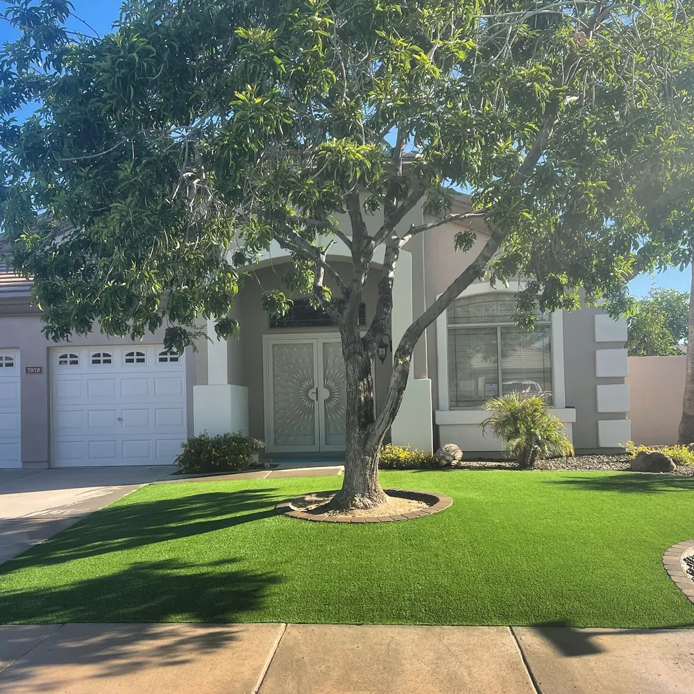 Front yard with a large shade tree on a turf lawn in front of a two-car garage